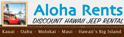 aloha vans maui